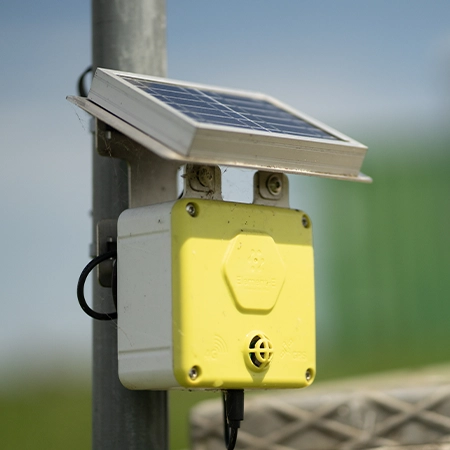 sensor at the Dogaletto site